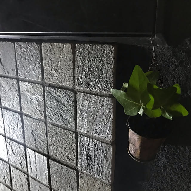 Vakiさんの実例写真