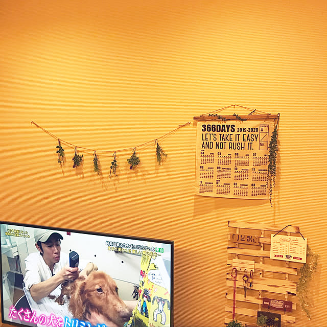 HANAさんの実例写真