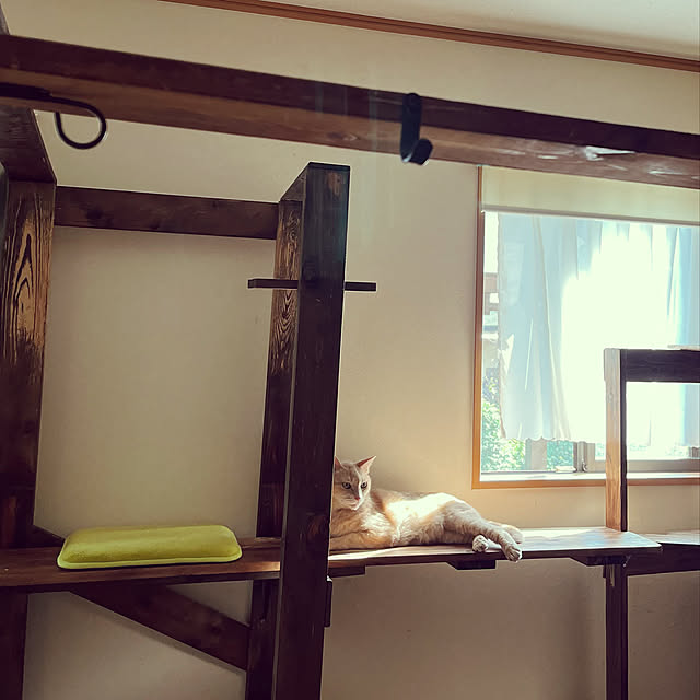 mikan161さんの実例写真