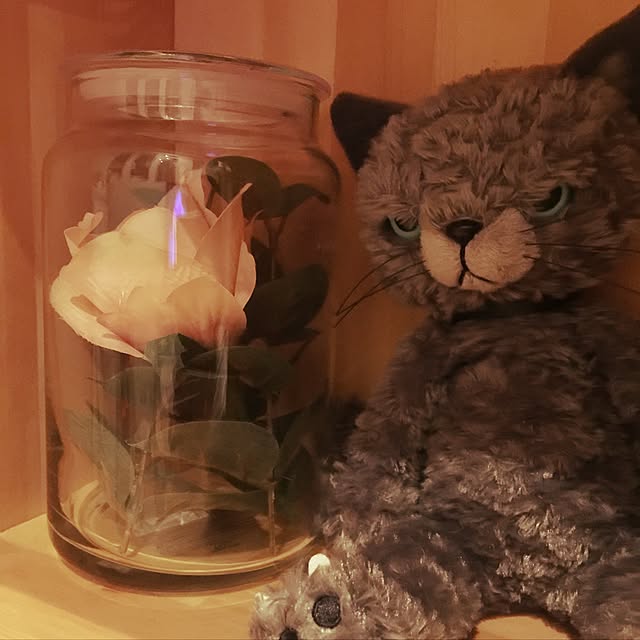 hisaduさんの実例写真