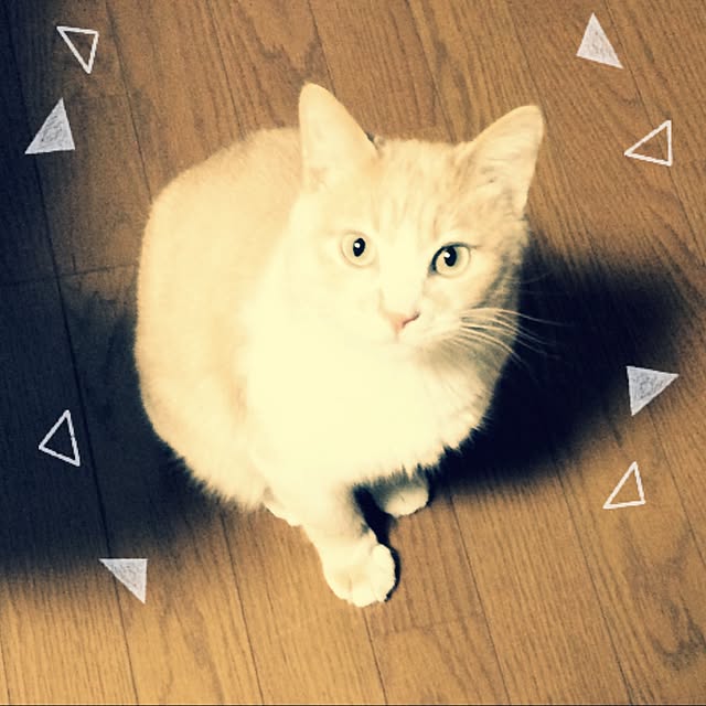 em.chiさんの実例写真