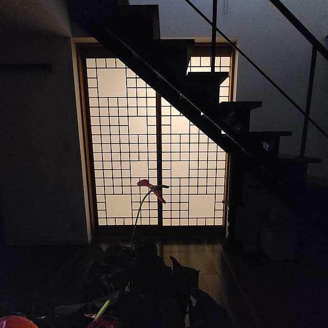 zenoさんの部屋