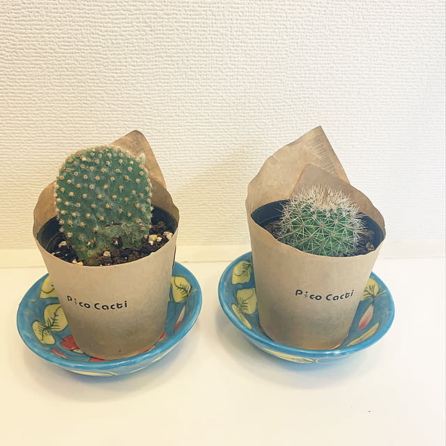 rinrinさんの実例写真