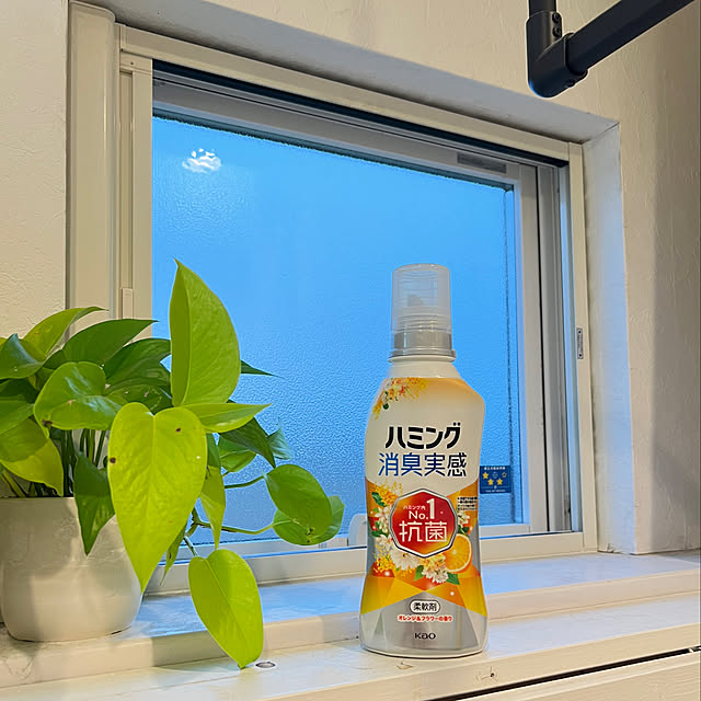 yumimaruさんの実例写真