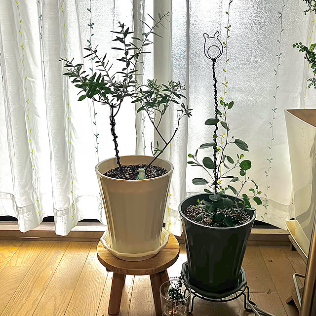 kagomamaさんの実例写真