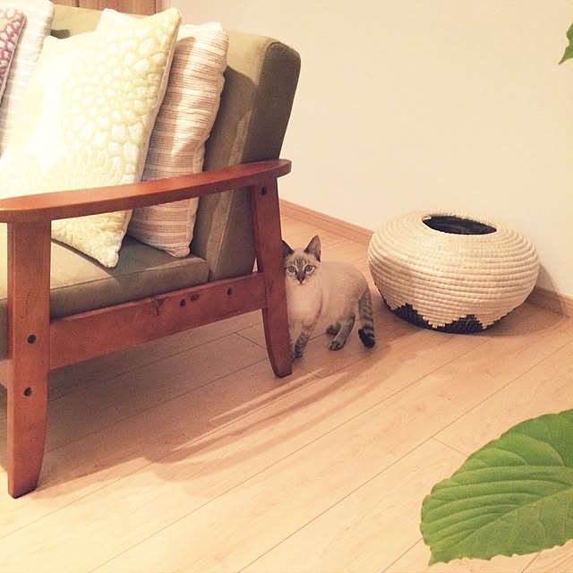 miniさんの実例写真