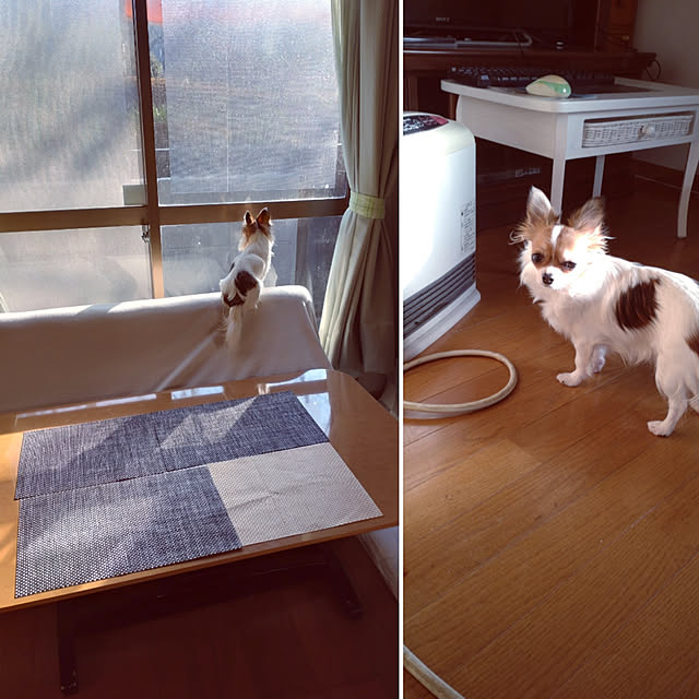 orenさんの実例写真