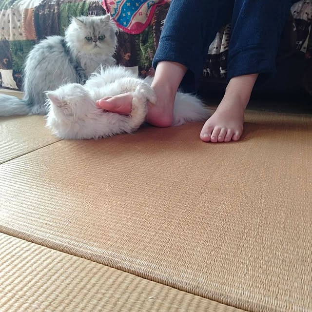 makaronさんの実例写真