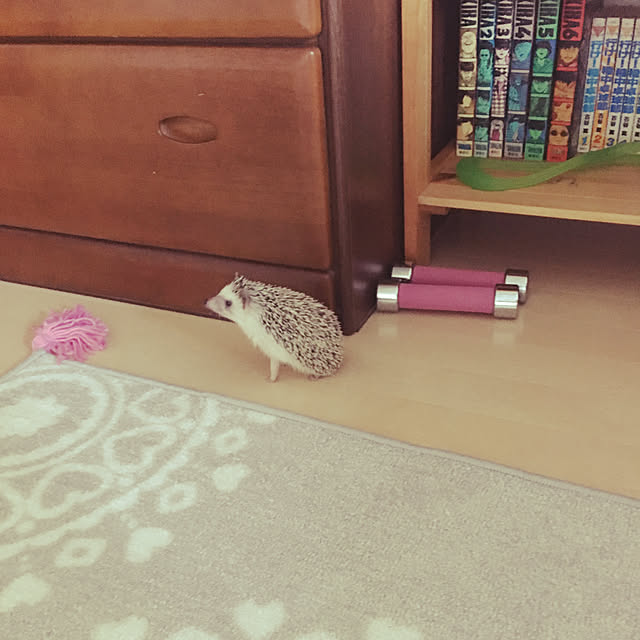Chiharuさんの実例写真