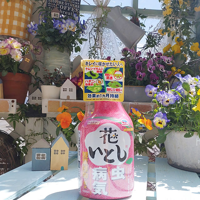 rumiさんの実例写真