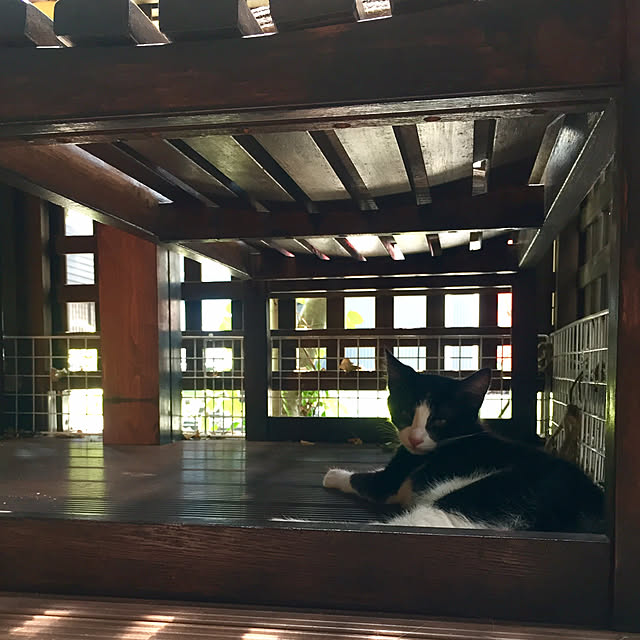 butachanさんの実例写真