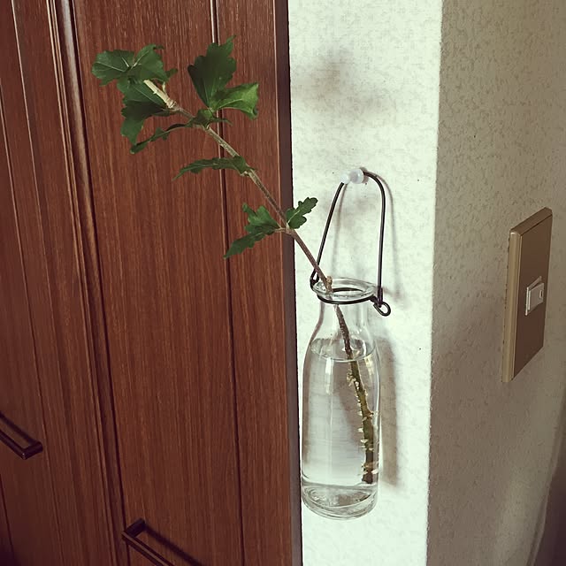 wasaさんの実例写真