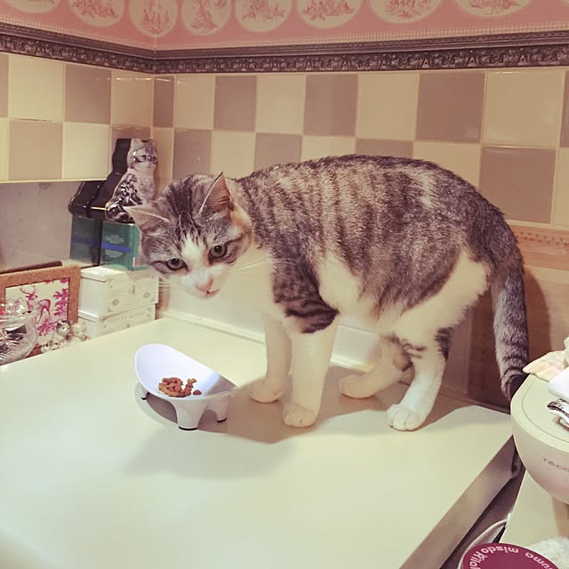 emmyyさんの実例写真