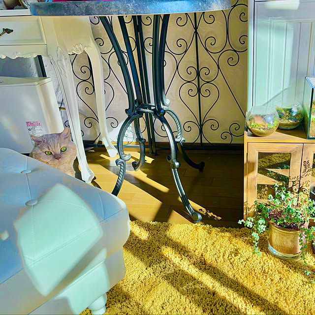 naokoさんの実例写真