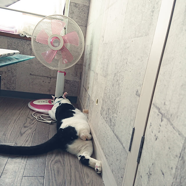 asuminさんの実例写真