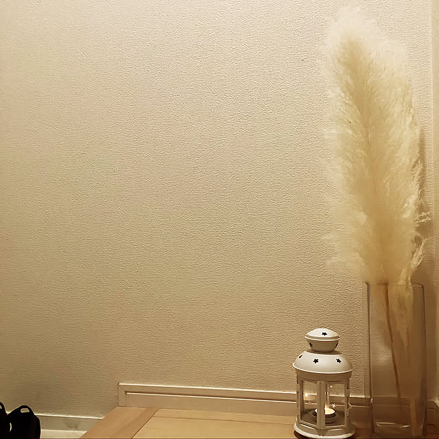 Doriさんの実例写真