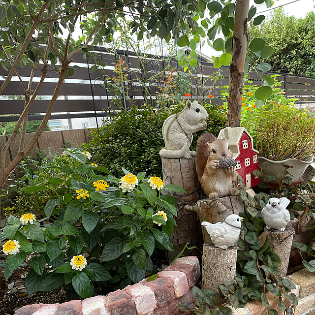 ronronさんの部屋