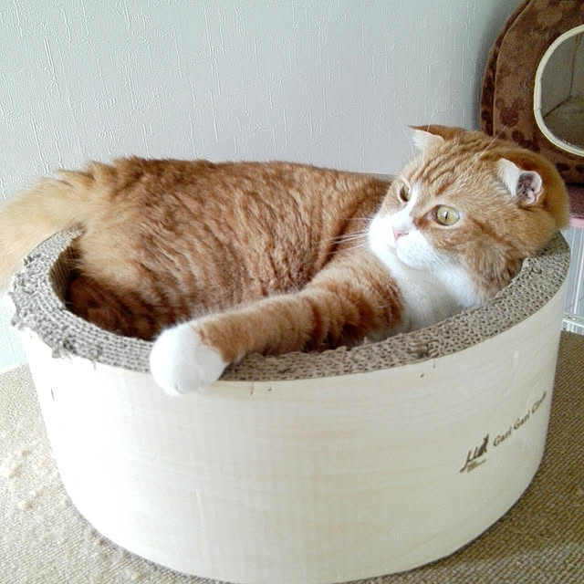 kumingさんの実例写真