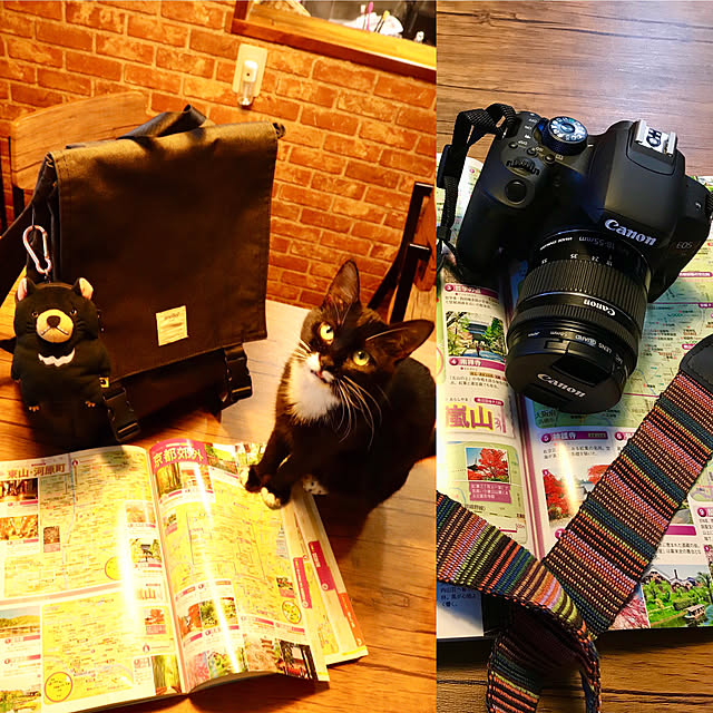 butachanさんの実例写真