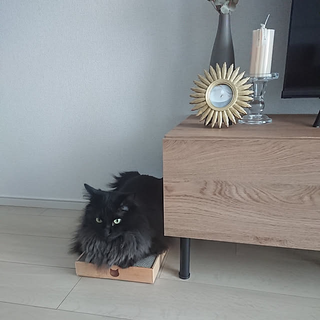 kumiさんの実例写真