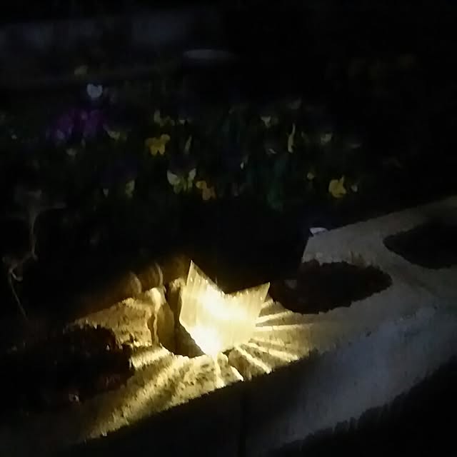 mmpoohさんの実例写真