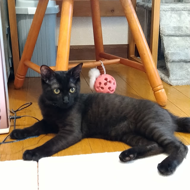 Tさんの実例写真