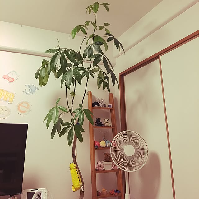 chiurさんの実例写真
