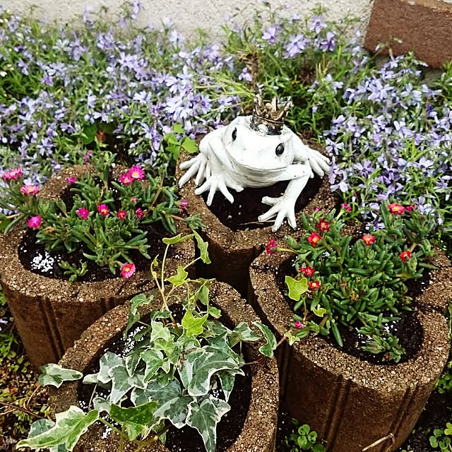mi-koさんの実例写真