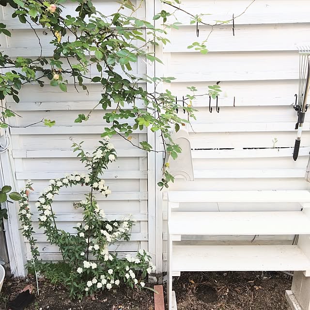 ameriさんの部屋