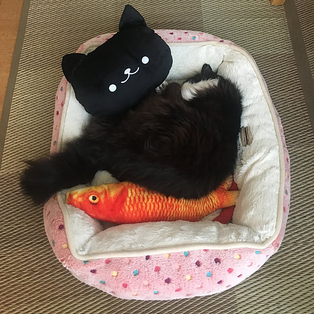 kanaさんの実例写真