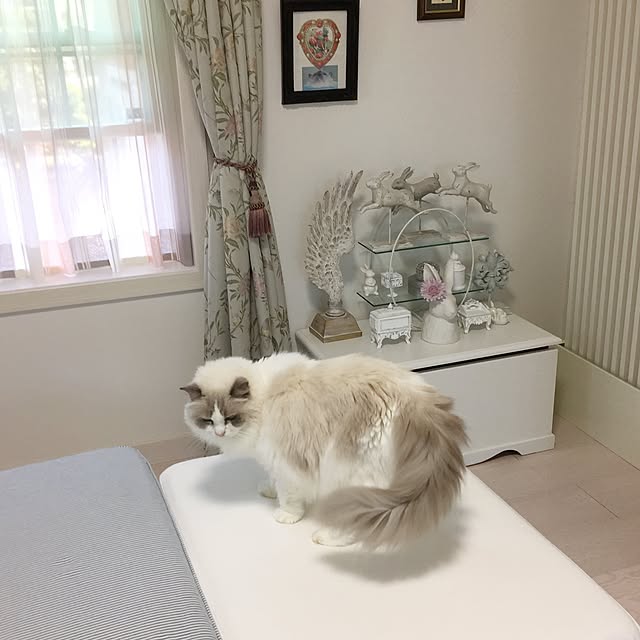 yuchiさんの実例写真