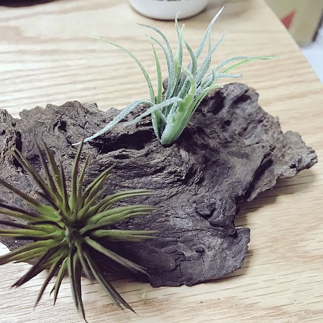 Itiさんの実例写真