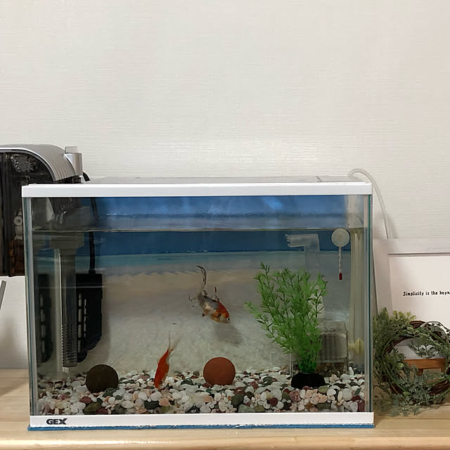 kotoさんの実例写真