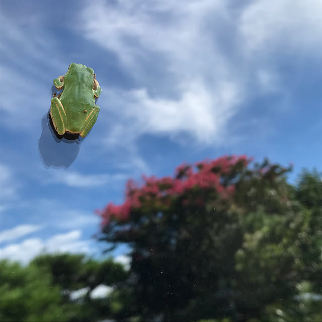 Nagakoさんの実例写真
