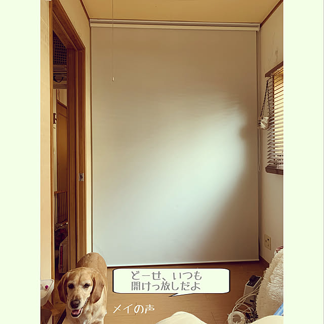 taeoさんの実例写真