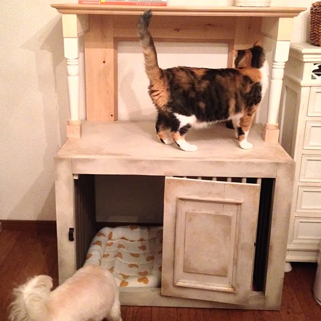 saqura_apartment101さんの実例写真