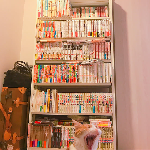 3122さんの実例写真