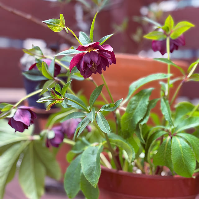 yukkoさんの部屋