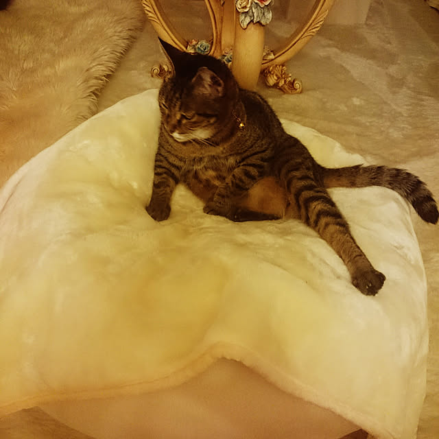 lilyさんの実例写真
