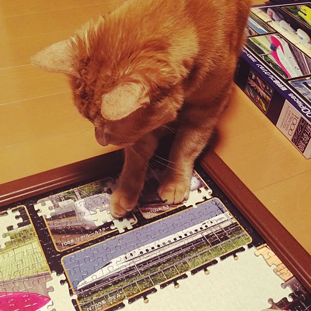 yukiさんの実例写真