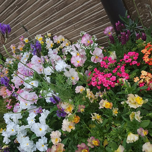 mimi828さんの部屋
