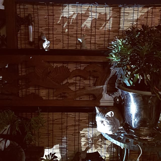 emmyyさんの実例写真