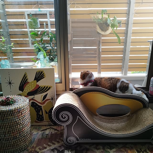hiro3さんの部屋