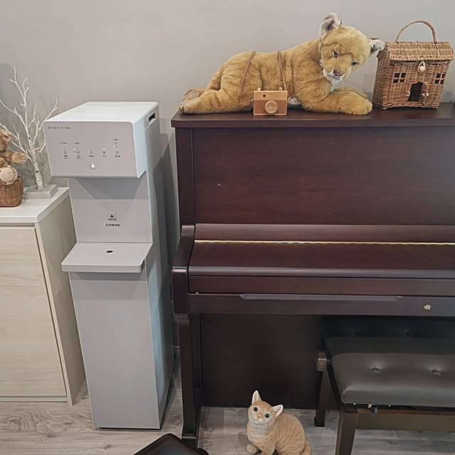 nyanpeiさんの実例写真