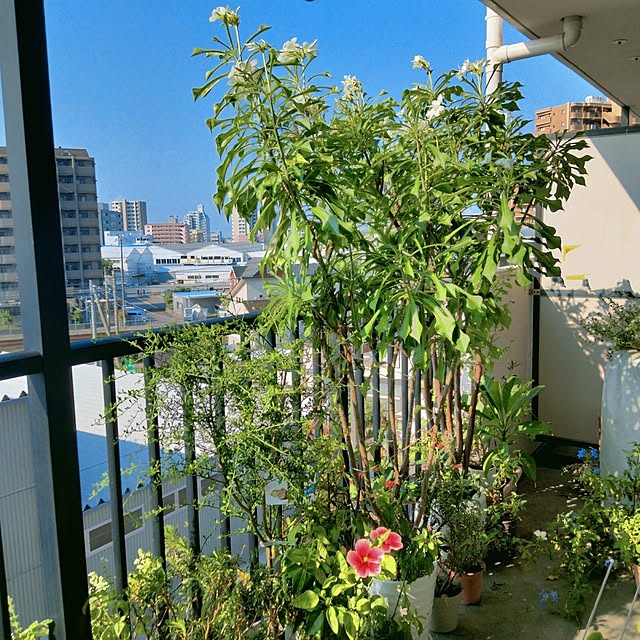 reko639さんの部屋