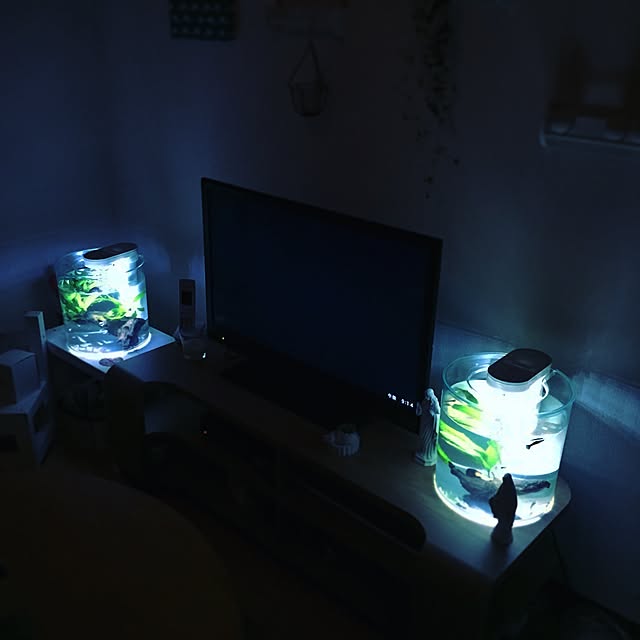 show.japanさんの実例写真