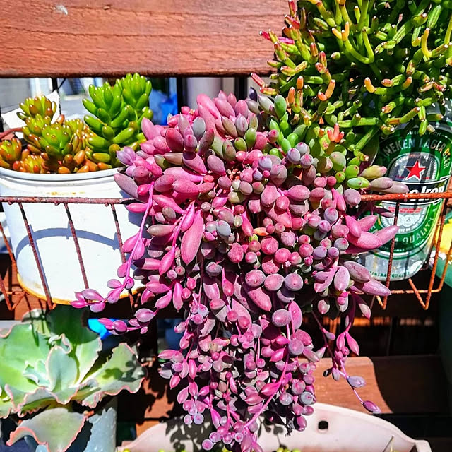 VERANDARJUNさんの実例写真