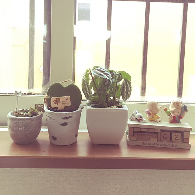 picoさんの実例写真