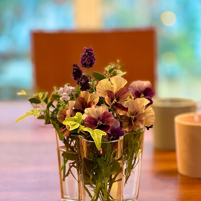 Lucyさんの実例写真