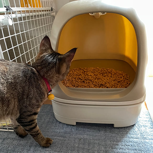 niko.mamさんの実例写真